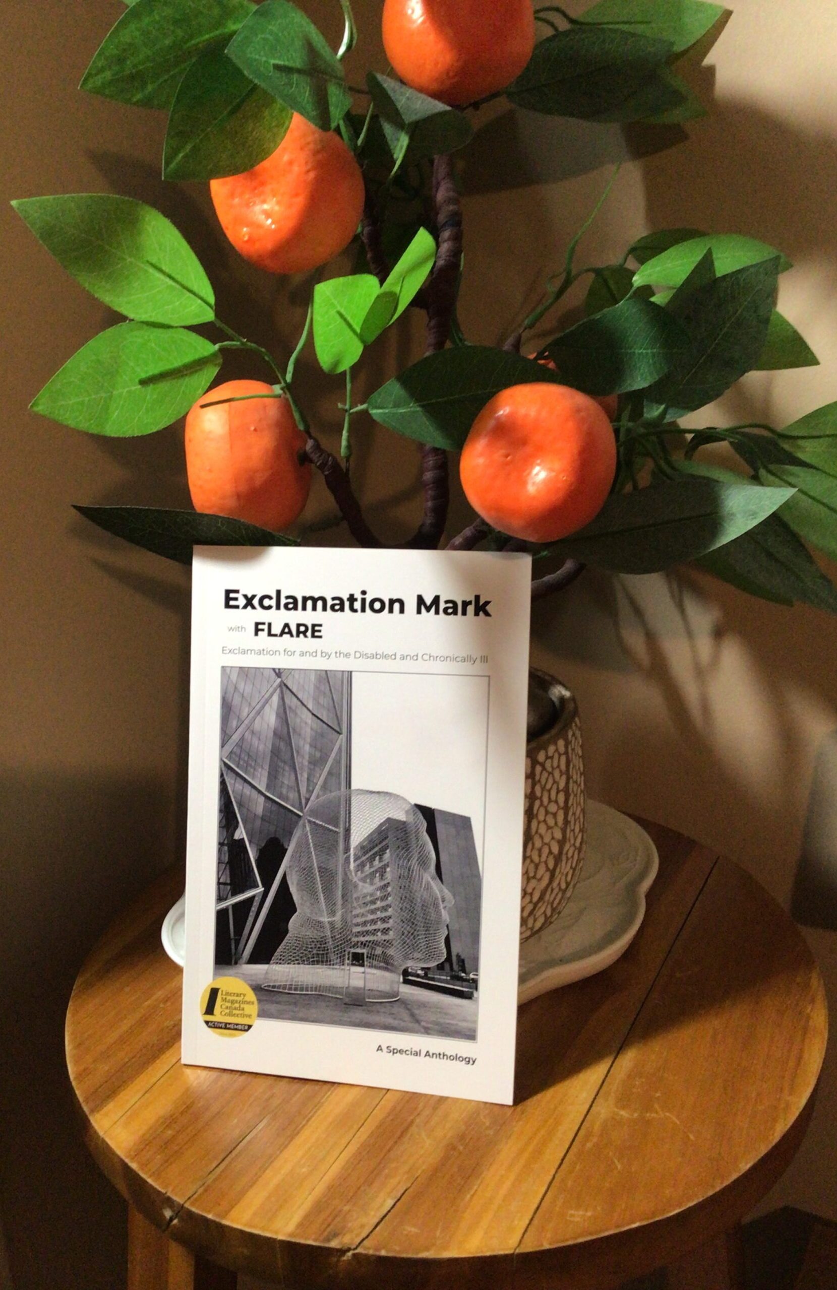 Exclamation for and by the Disabled and Chronically Ill (Print) img 1286