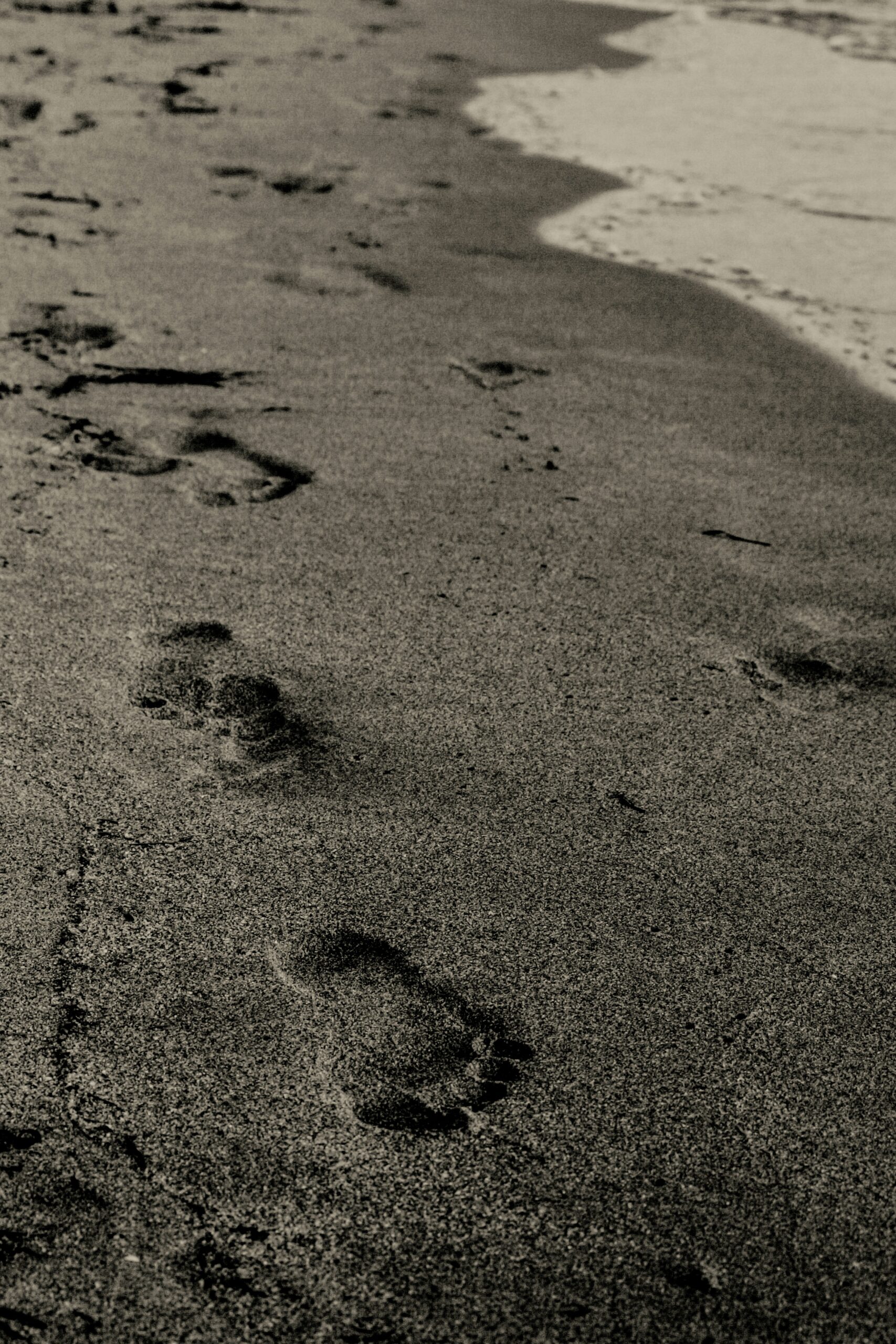three poems by rasheed alade