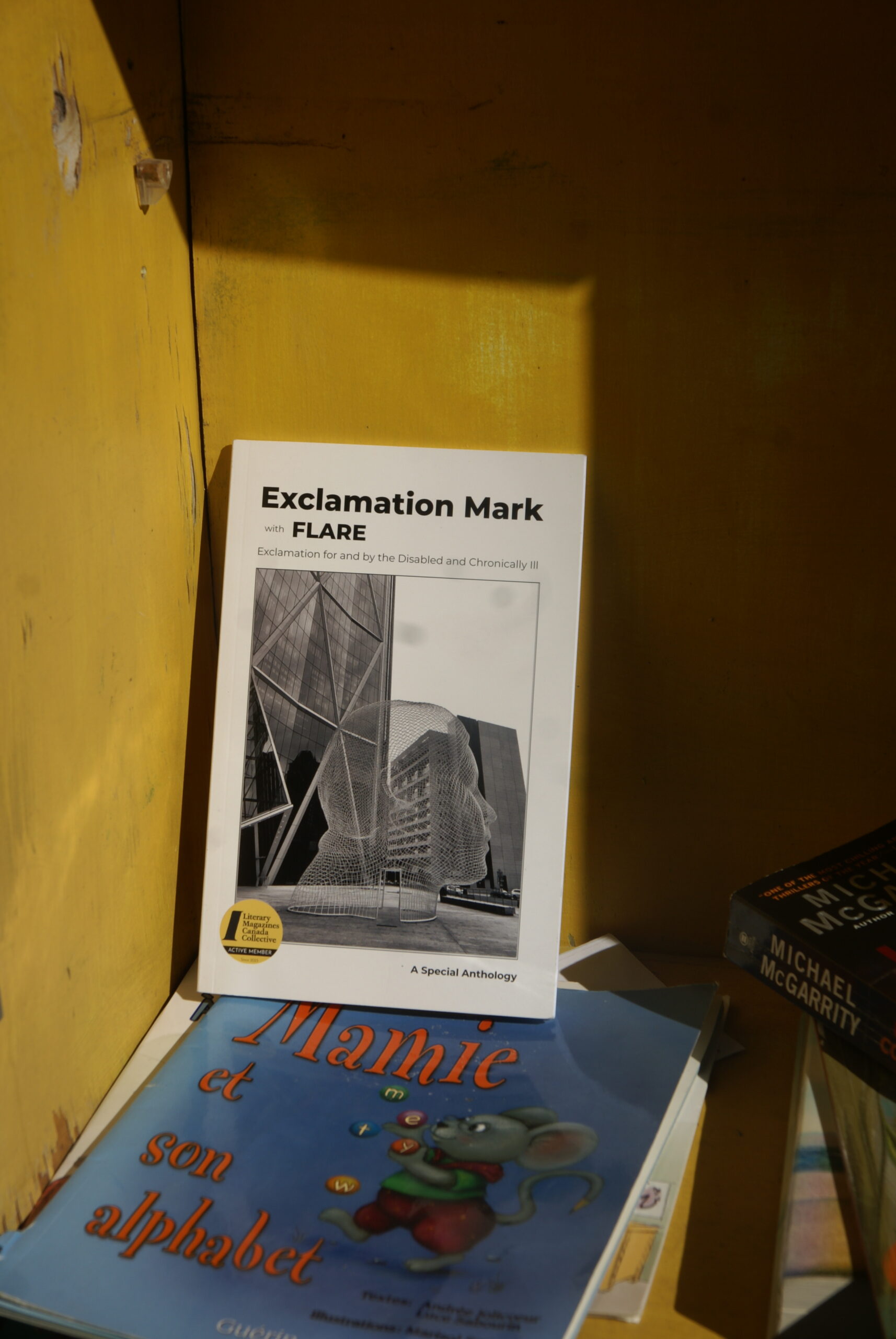 Exclamation for and by the Disabled and Chronically Ill (Print) sony dsc