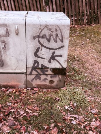 little bird option 2