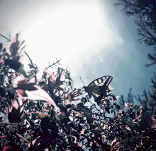 screenshot 2026 04 04 222016