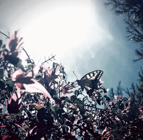 screenshot 2026 04 04 222016