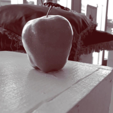 screenshot 2026 04 04 222404