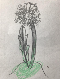 screenshot 2026 04 11 220340