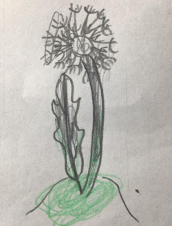 screenshot 2026 04 11 220340